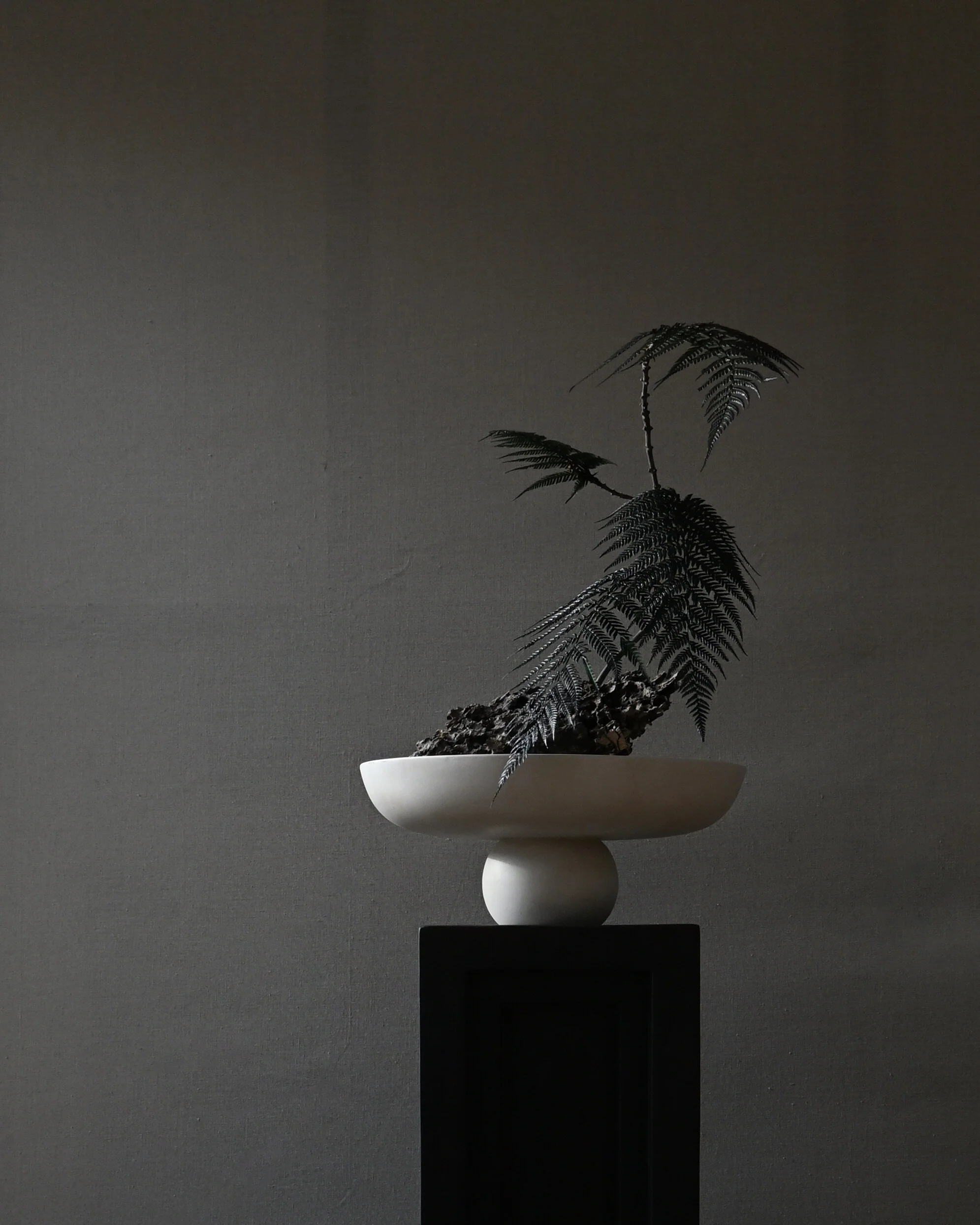 Baburu Bowl, Big - Birch - Image 4