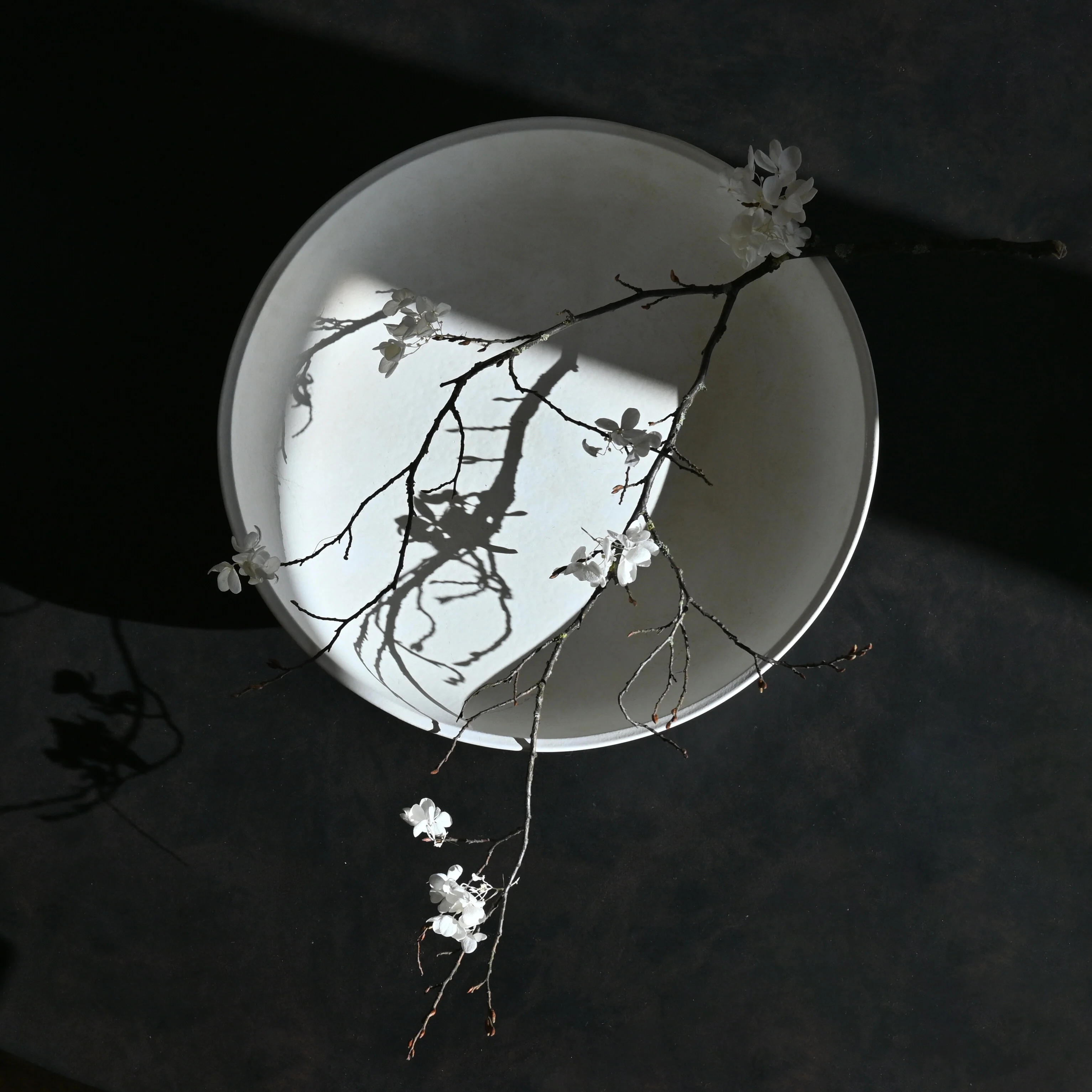 Baburu Bowl, Big - Bone White - Image 10