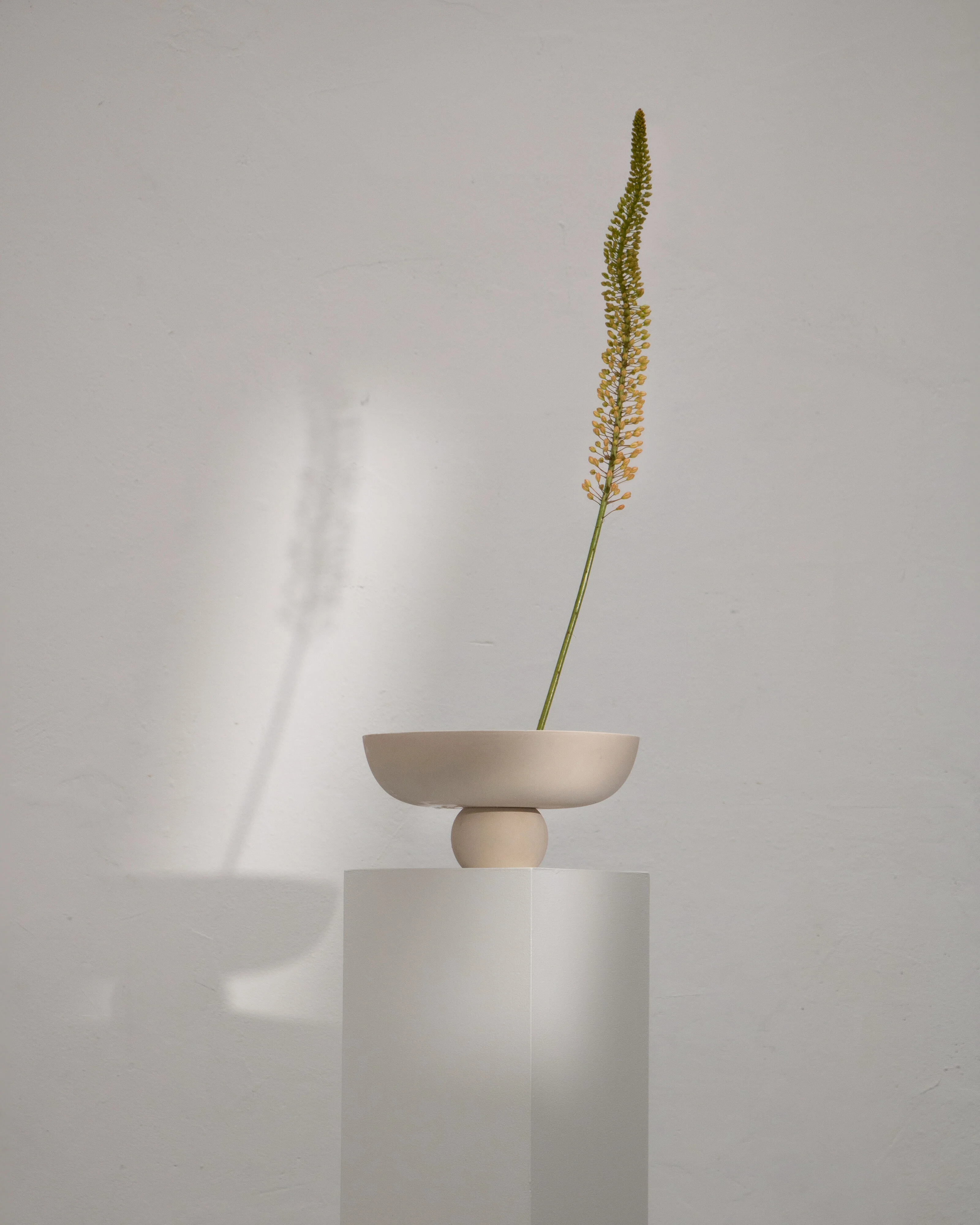 Baburu Bowl, Medio - Birch - Image 6