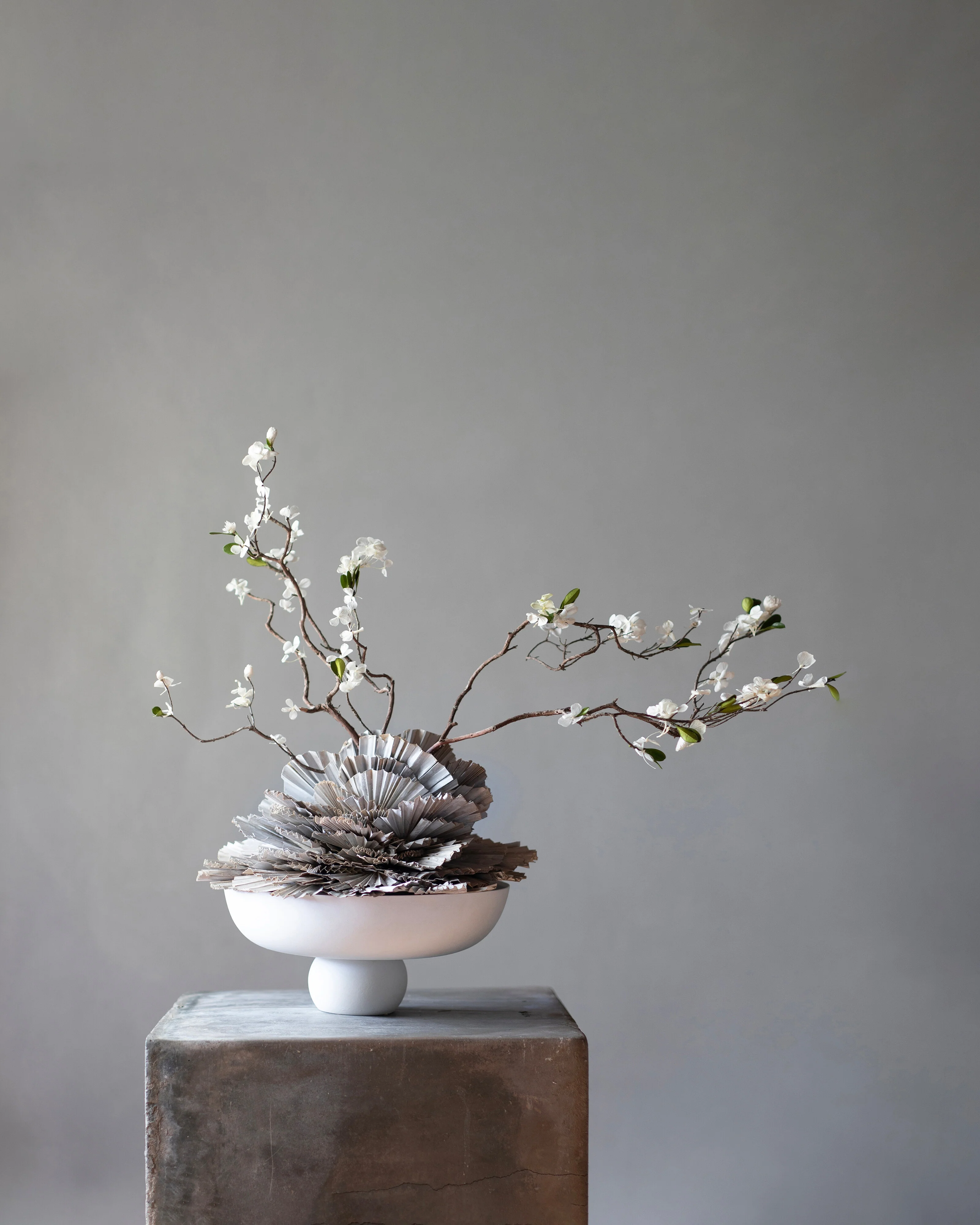 Baburu Bowl, Medio - Bone White - Image 3