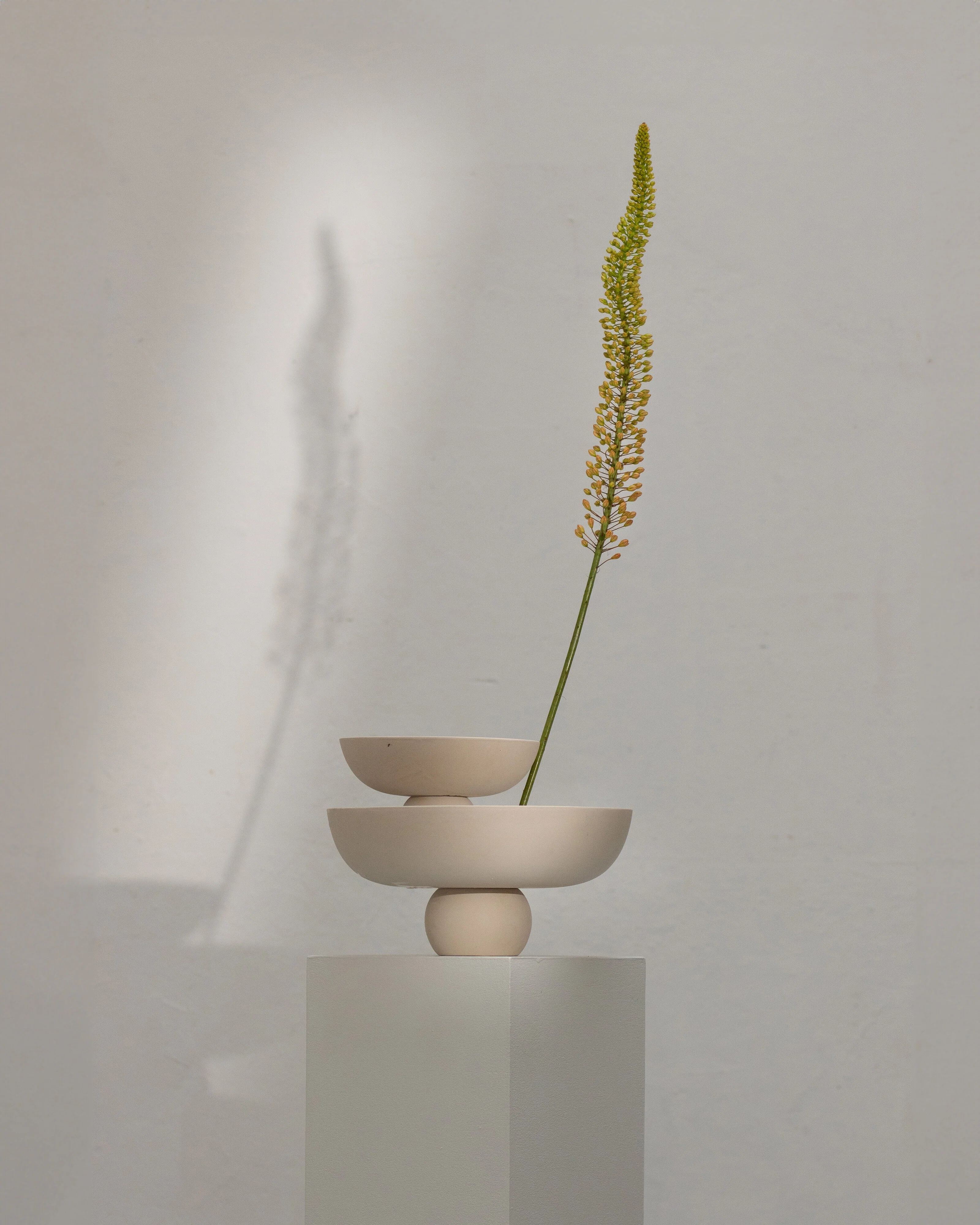 Baburu Bowl, Mini - Birch - Image 3
