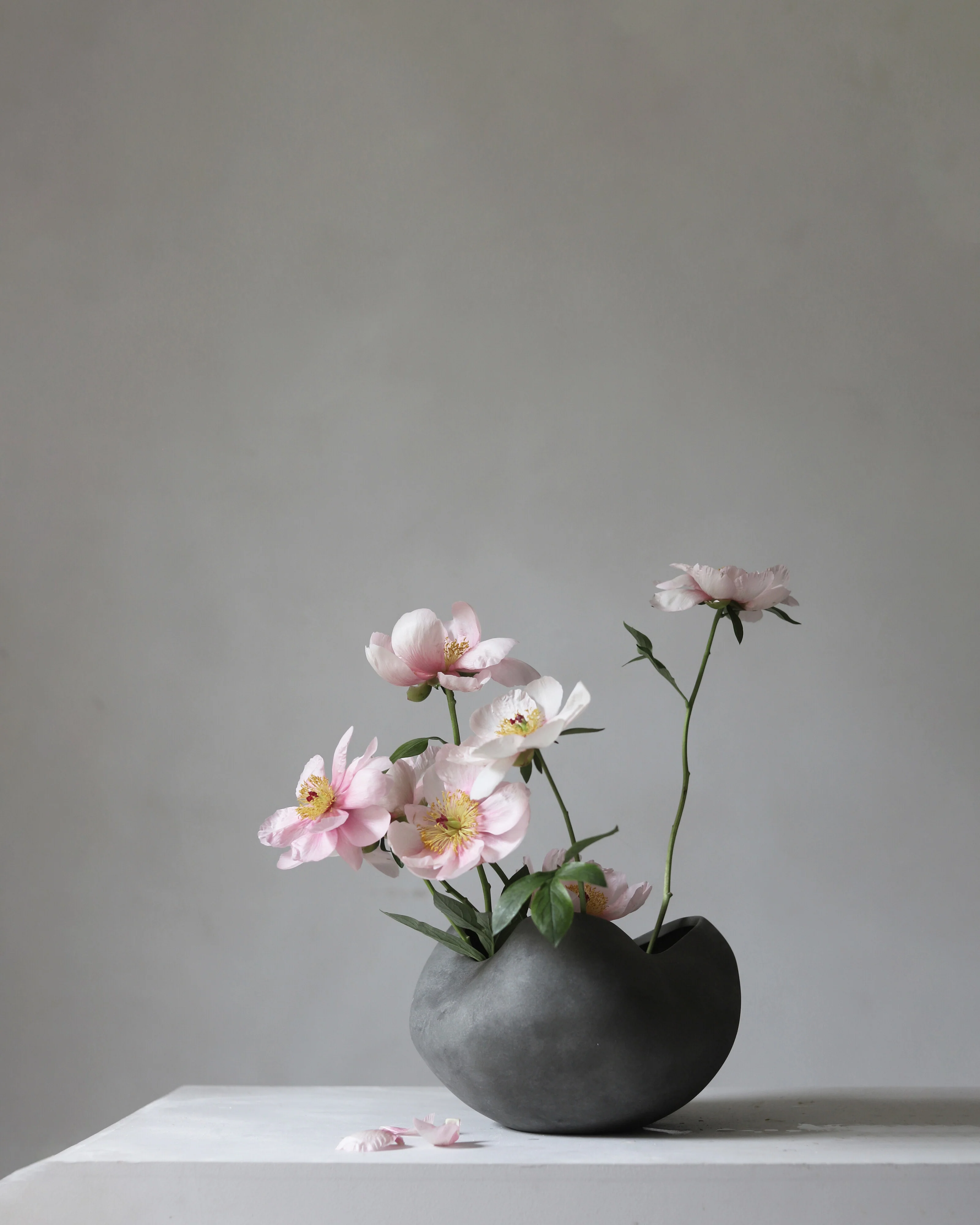 Curve Bowl, Big - Dark Grey - Image 2