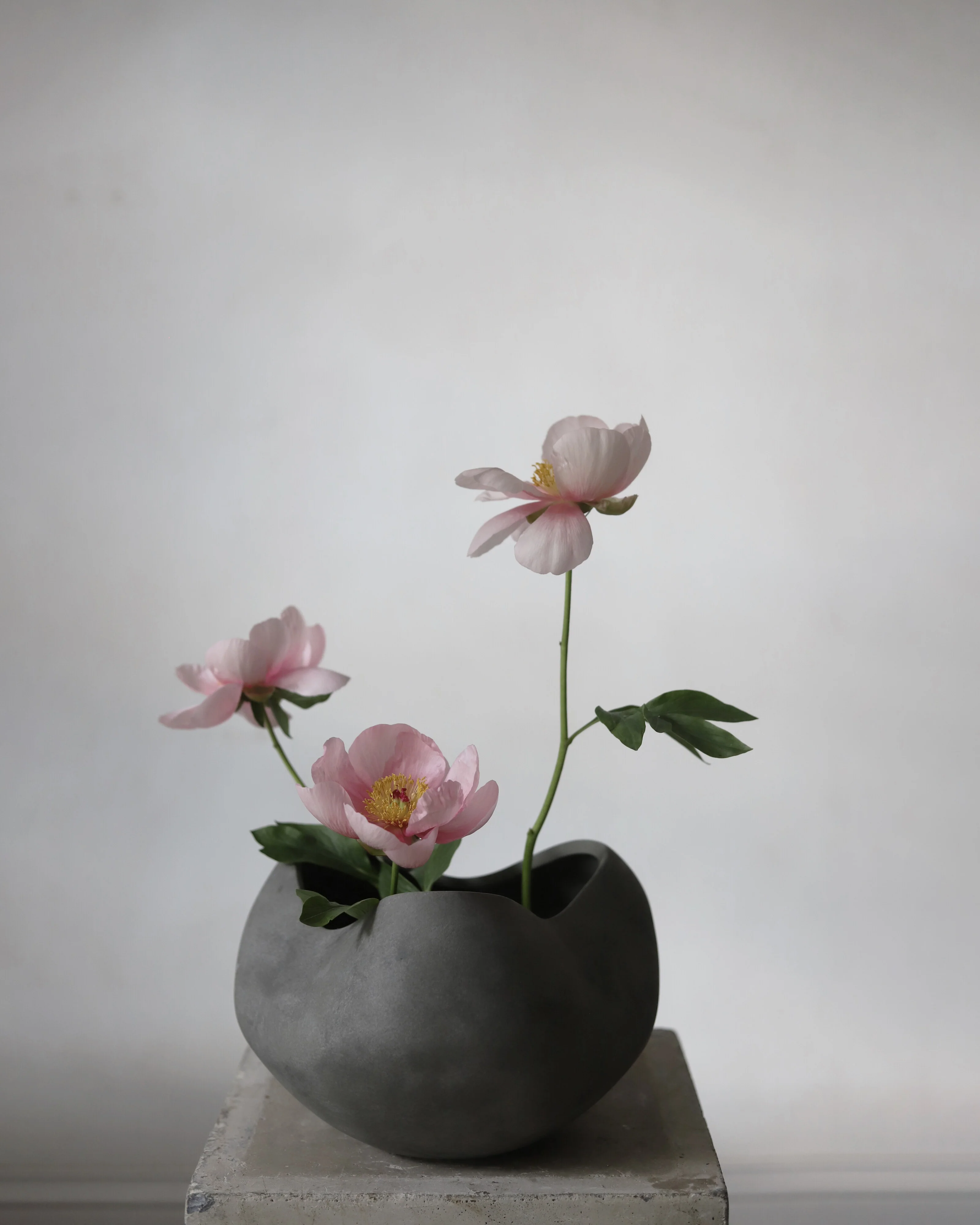 Curve Bowl, Big - Dark Grey - Image 8