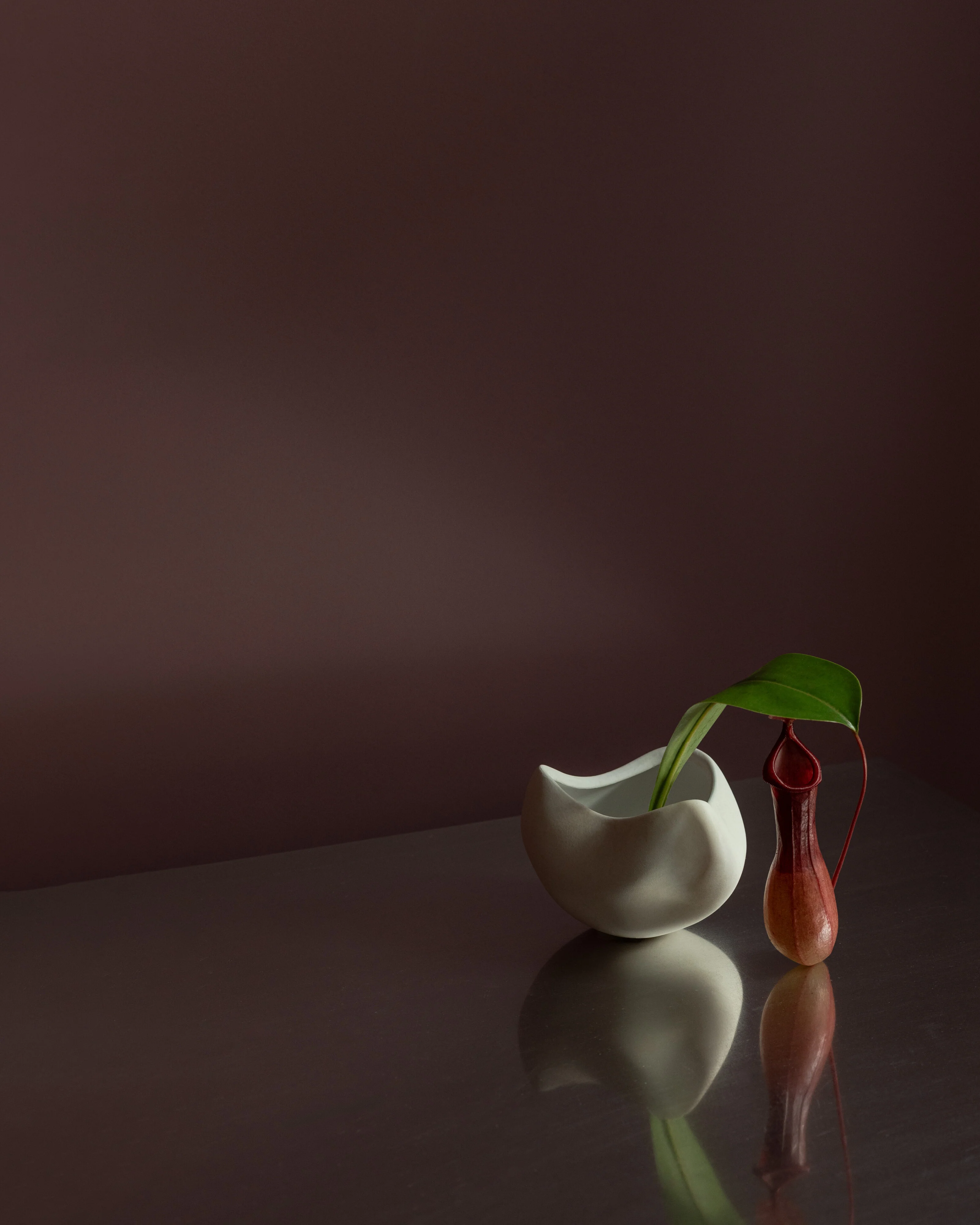 Curve Bowl, Mini - Bone White - Image 2