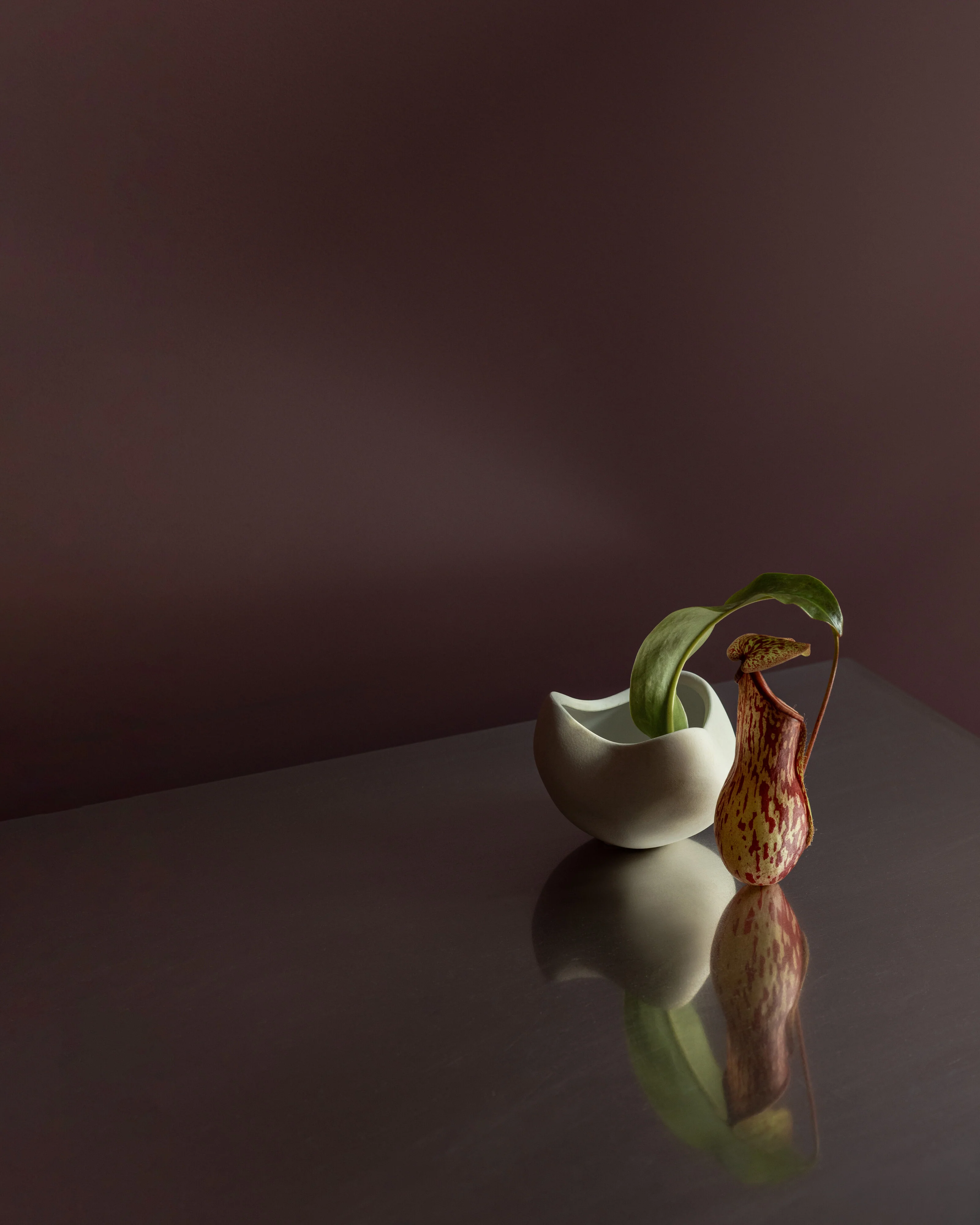 Curve Bowl, Mini - Bone White - Image 3