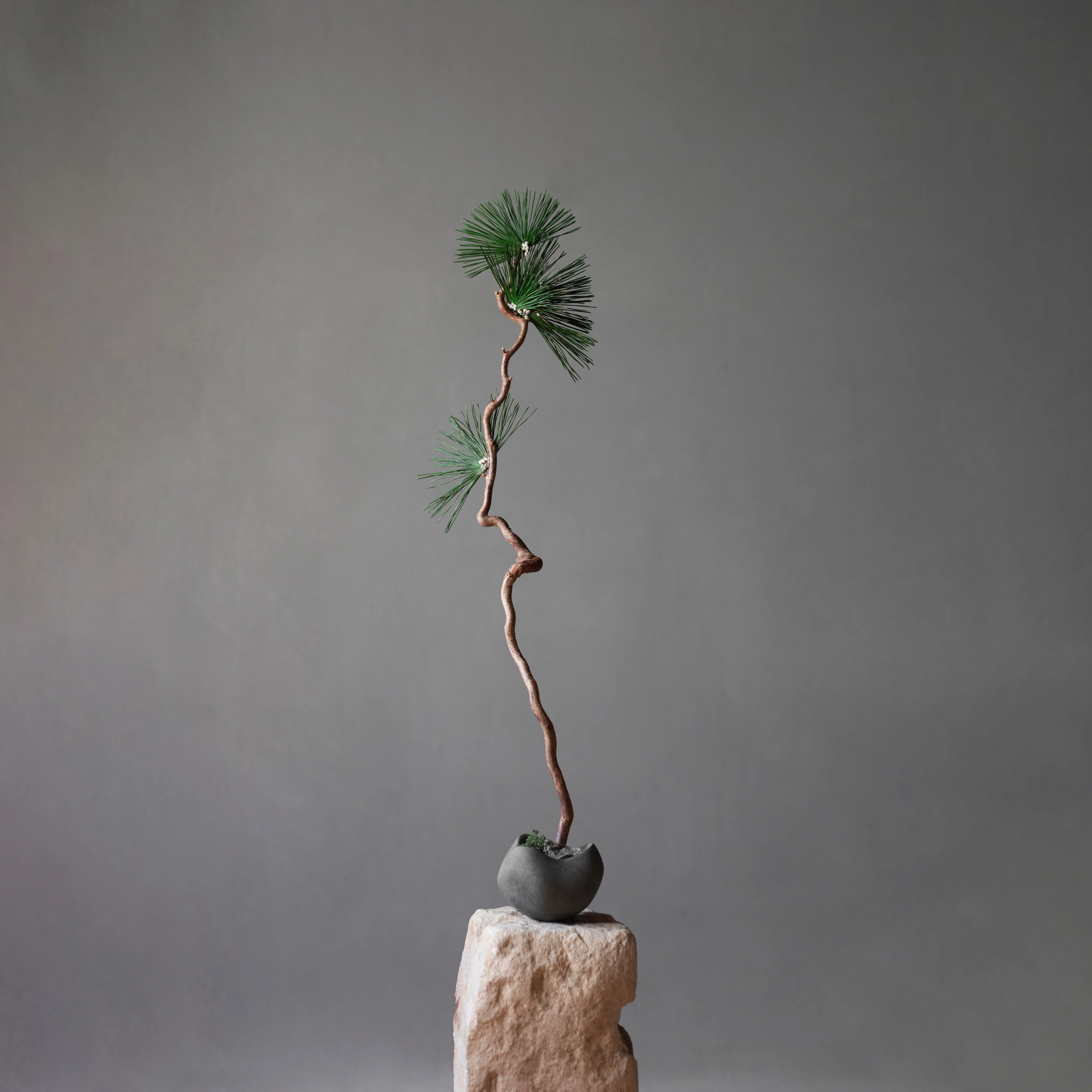 Curve Bowl, Mini - Dark Grey - Image 2