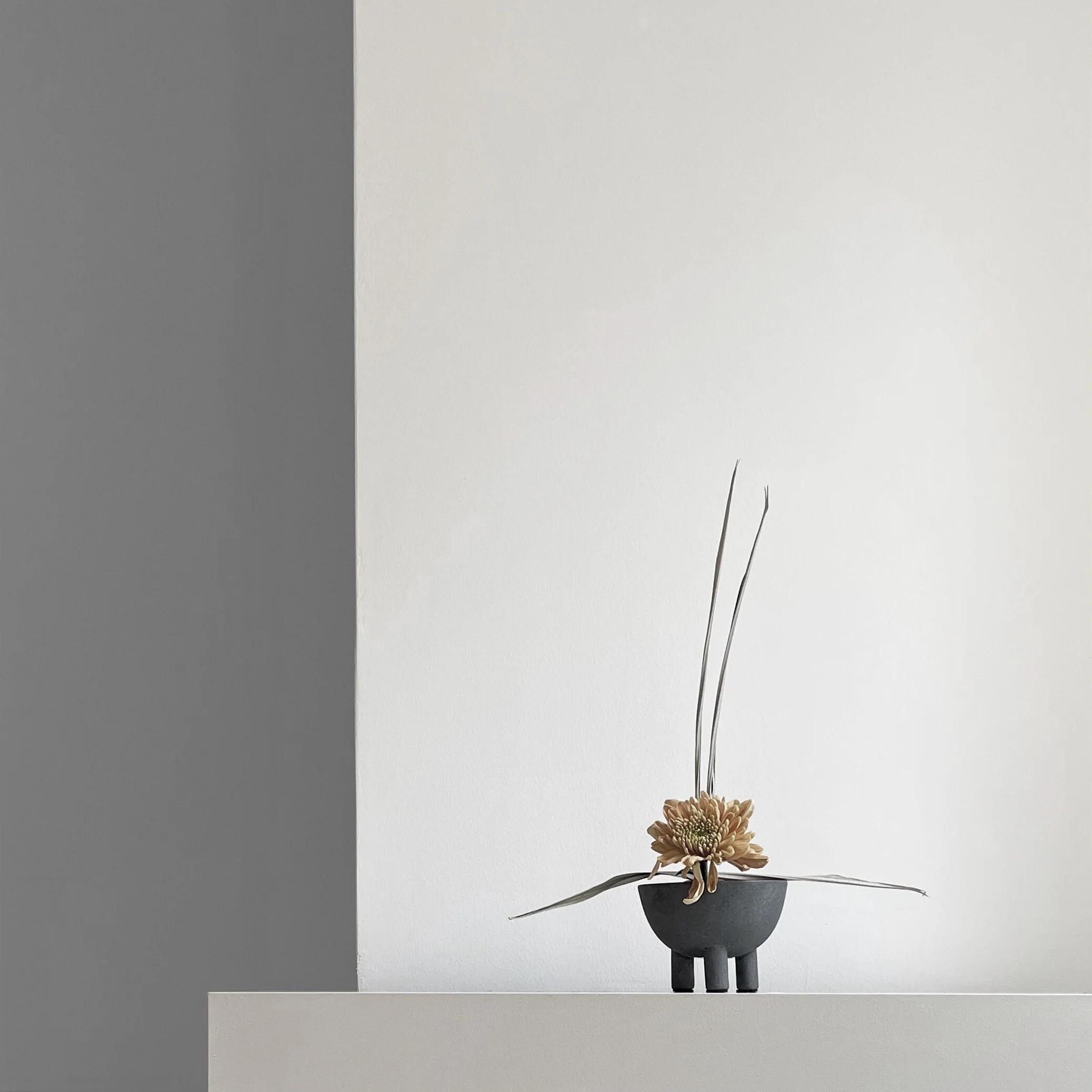Duck Bowl, Mini - Dark Grey - Image 6