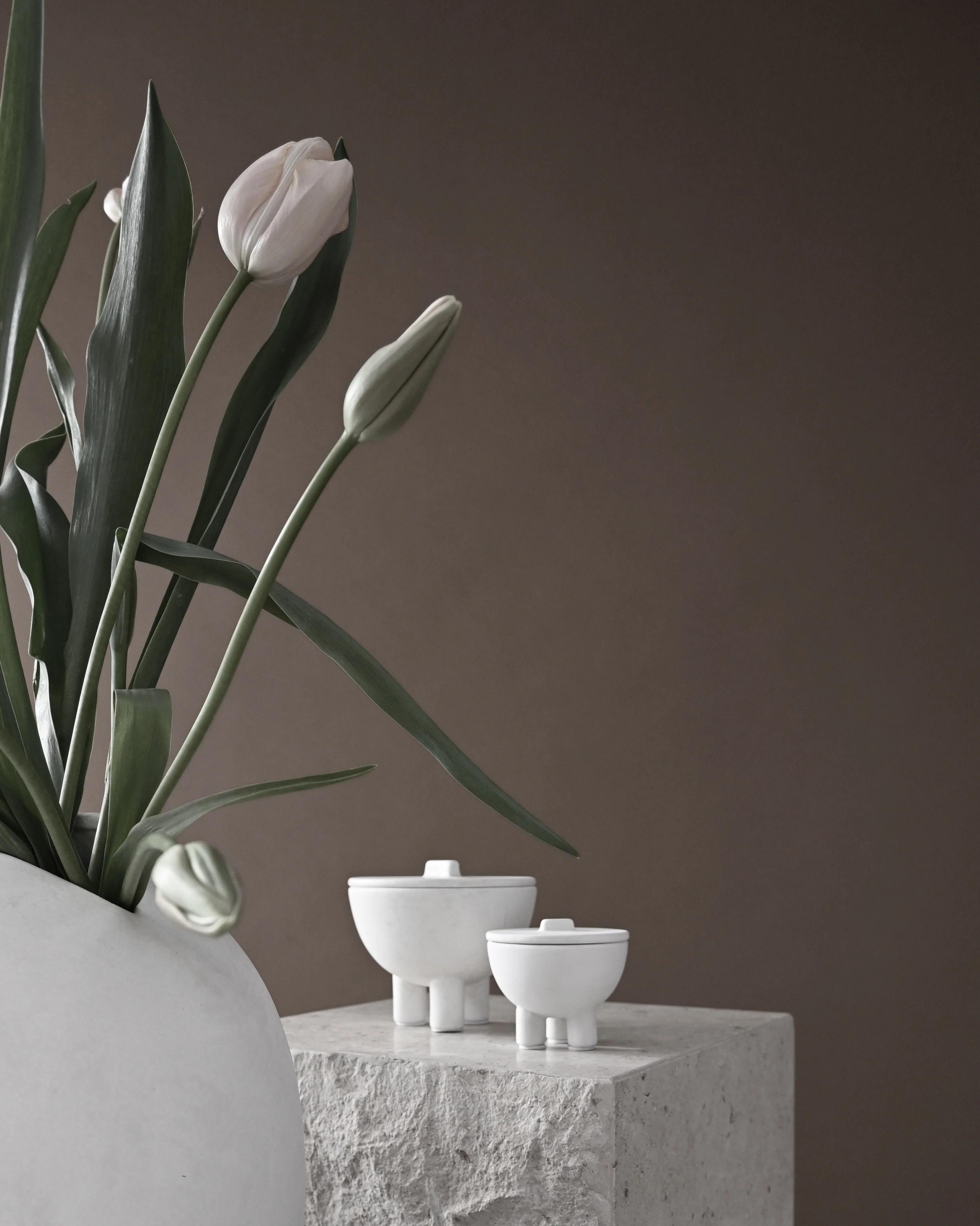 Duck Jar, Medio - Bone White - Image 7