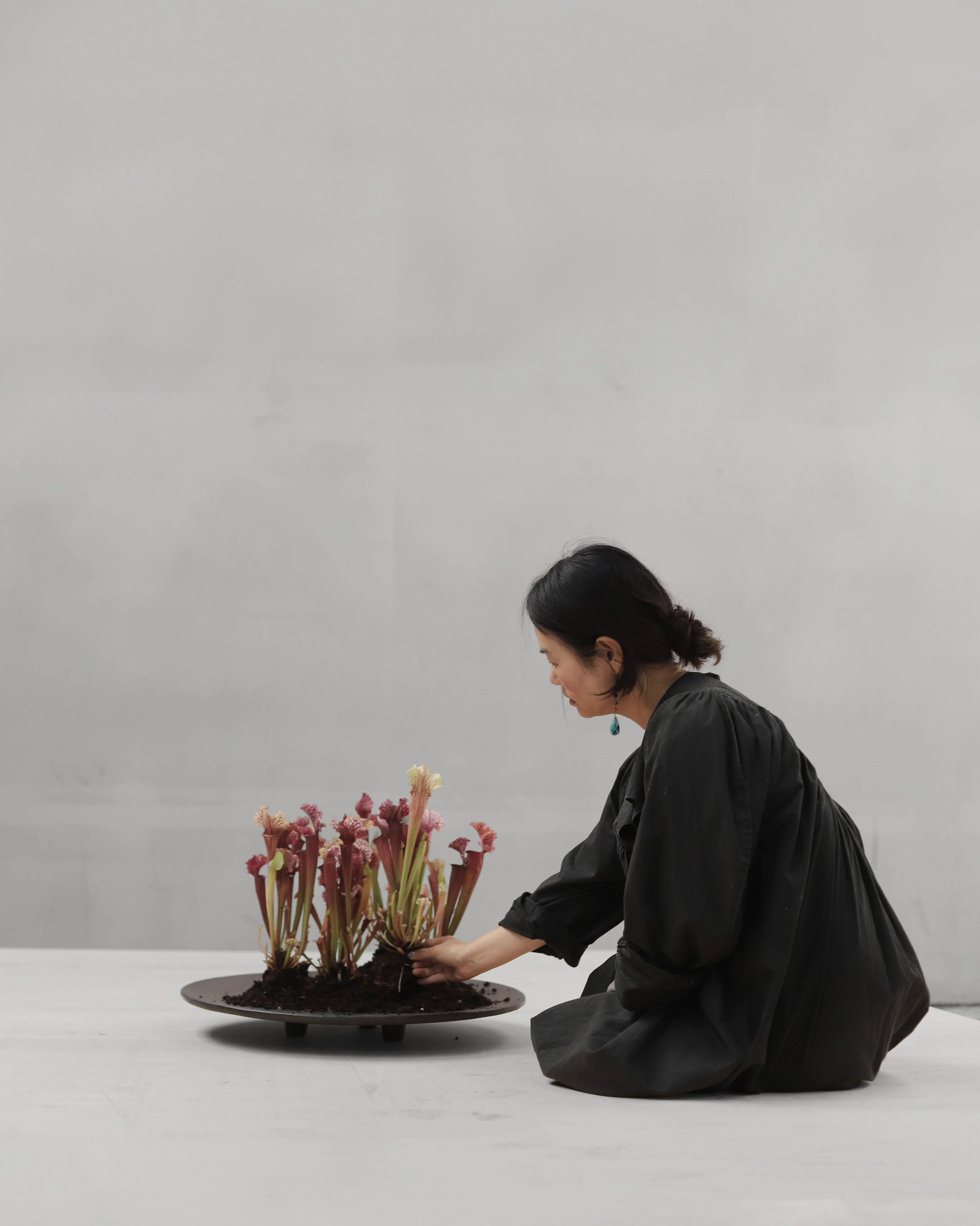 Duck Tray, Big - Coffee - Image 17