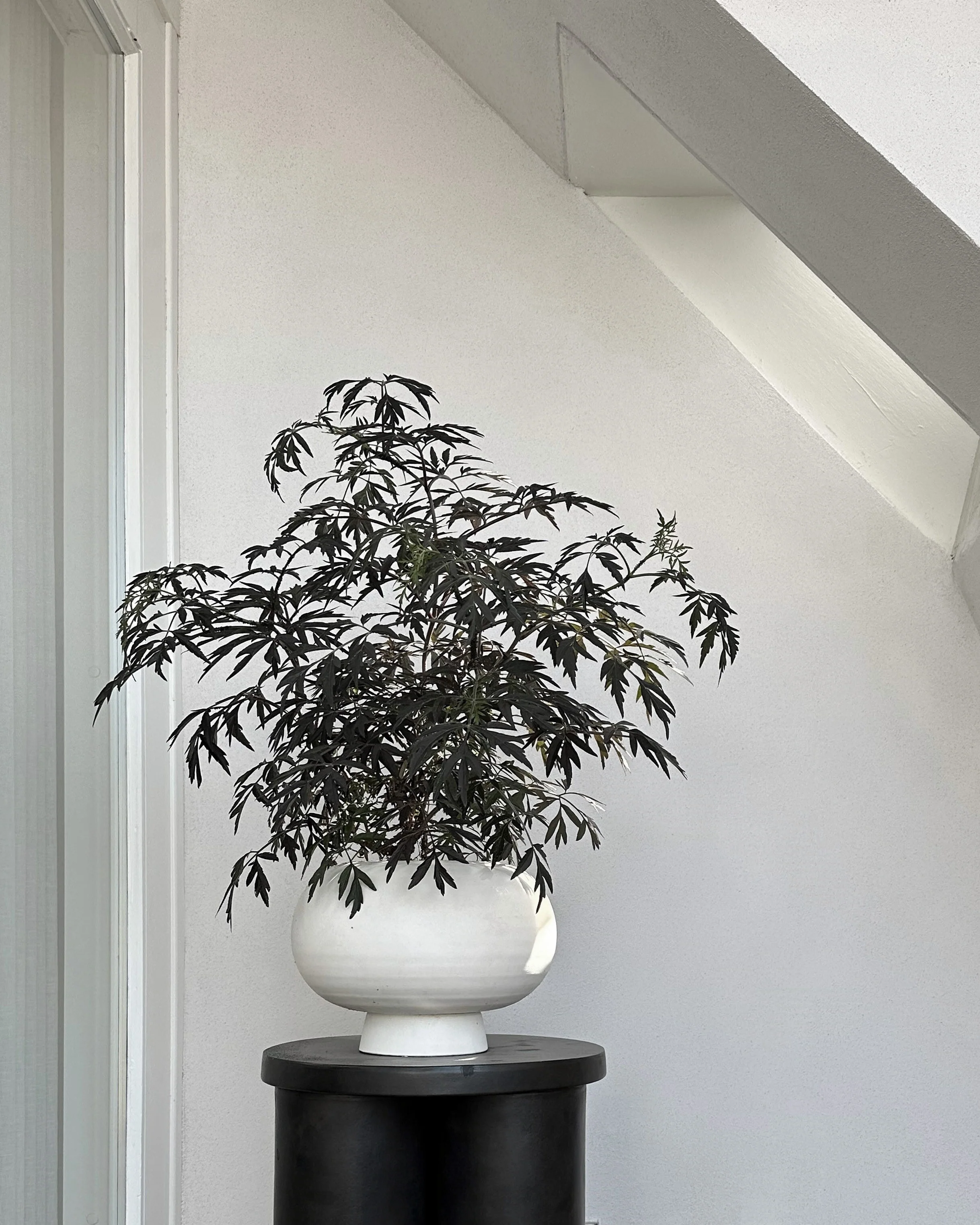 Kabin Vase, Fat - Bone White - Image 4