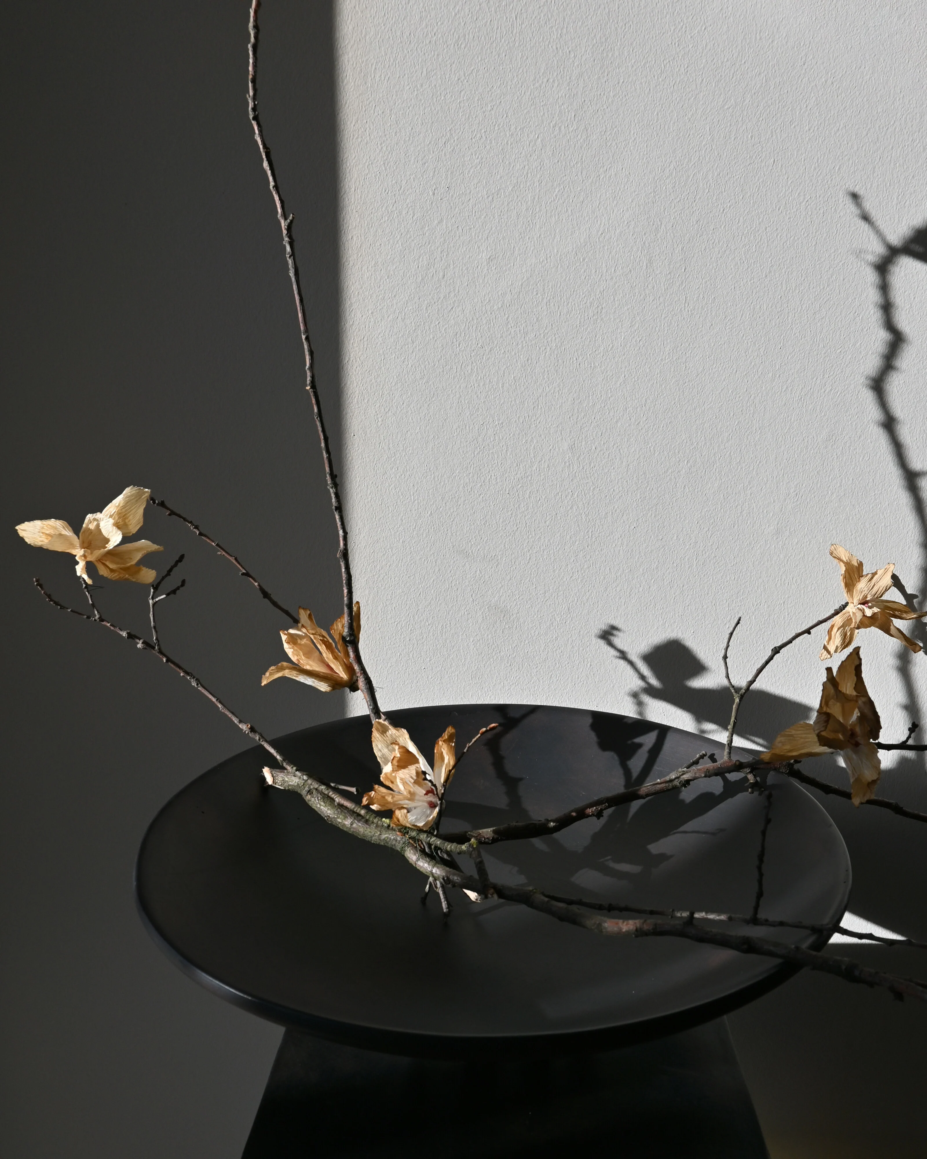 Medusa Tray, Big - Coffee - Image 6