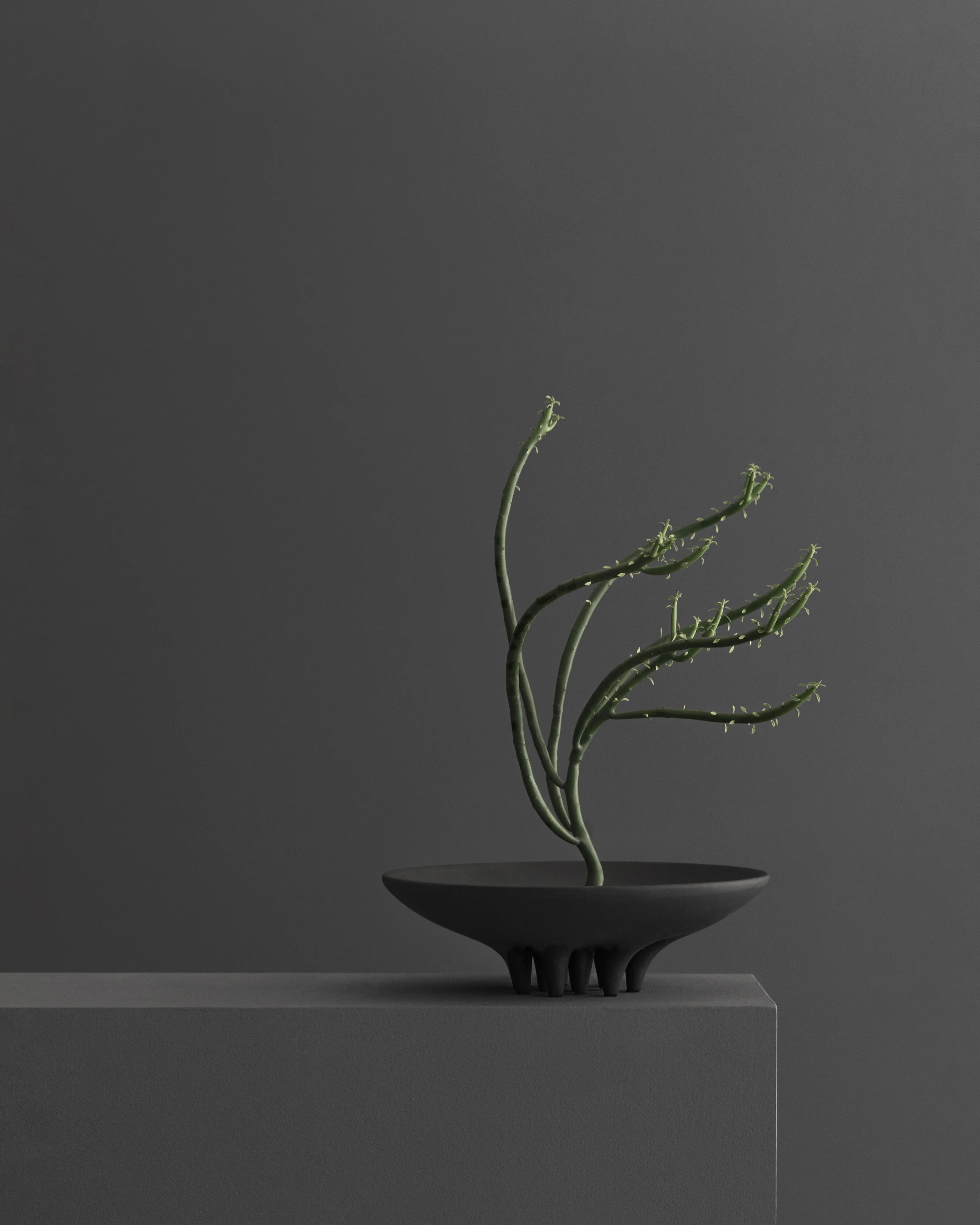 Medusa Tray, Mini - Coffee - Image 3