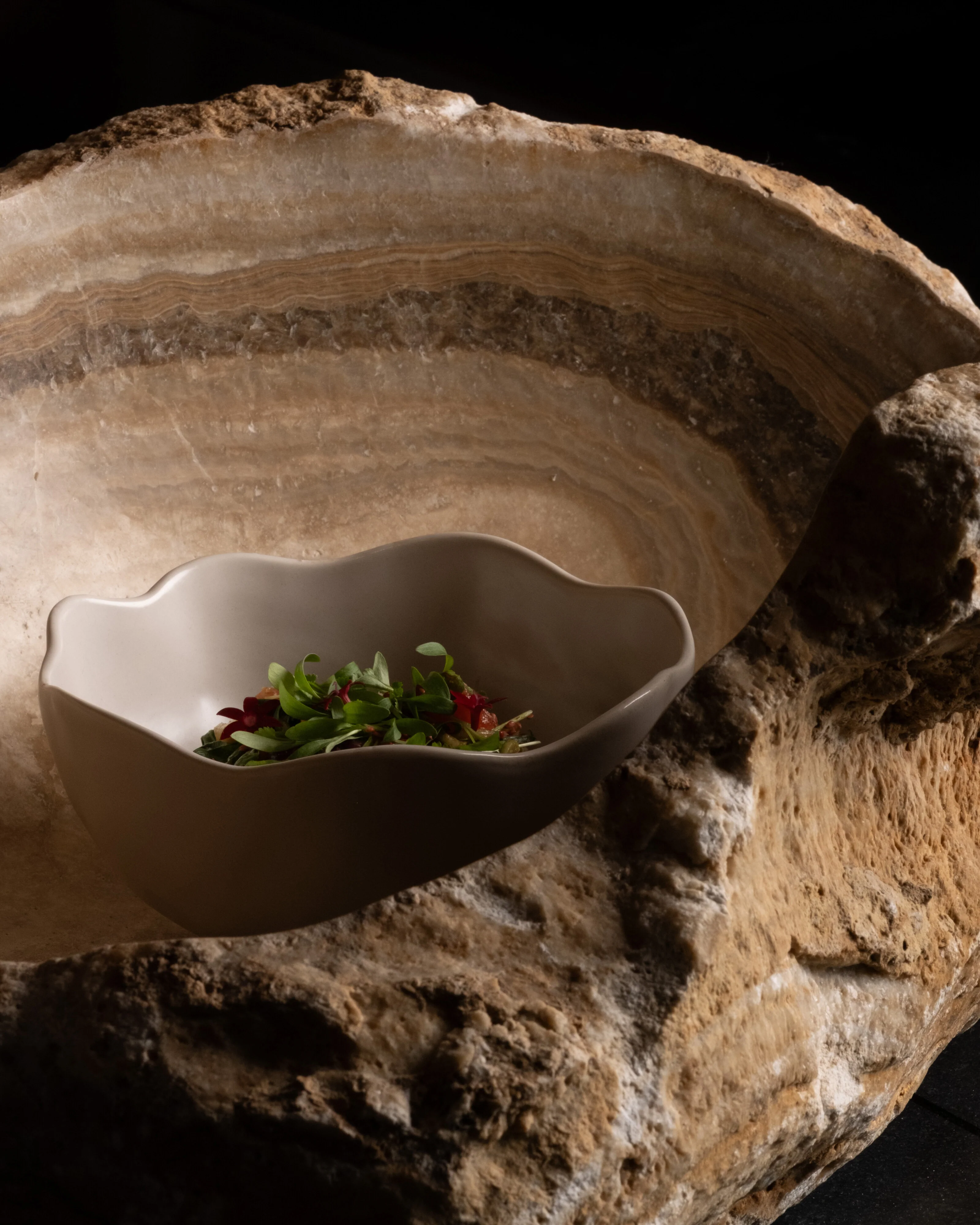 Native Bowl, Medio - Birch - Image 21