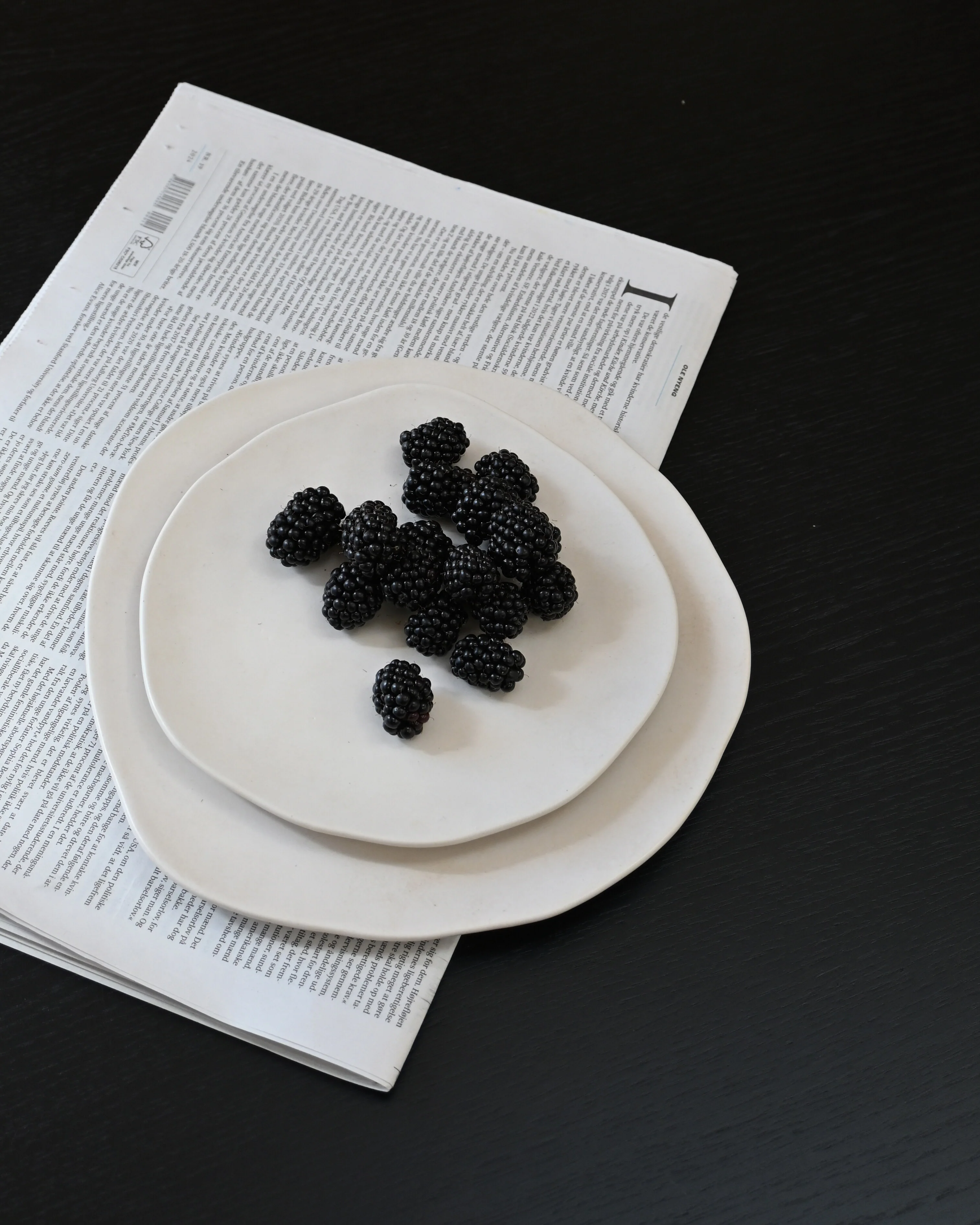 Native Lunch/Dessert Plate - Birch - Image 15