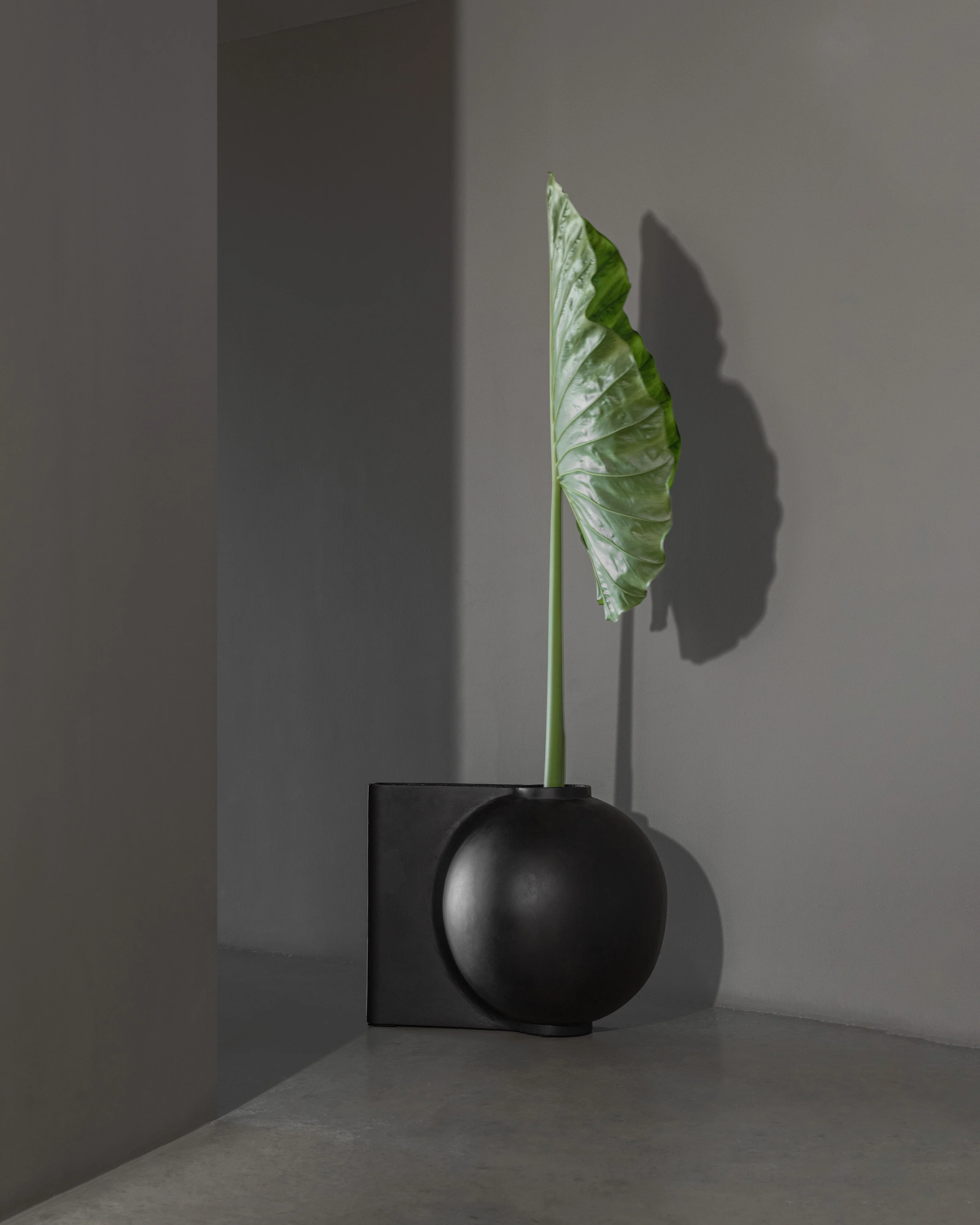 Offset Vase, Big - Coffee - Image 2