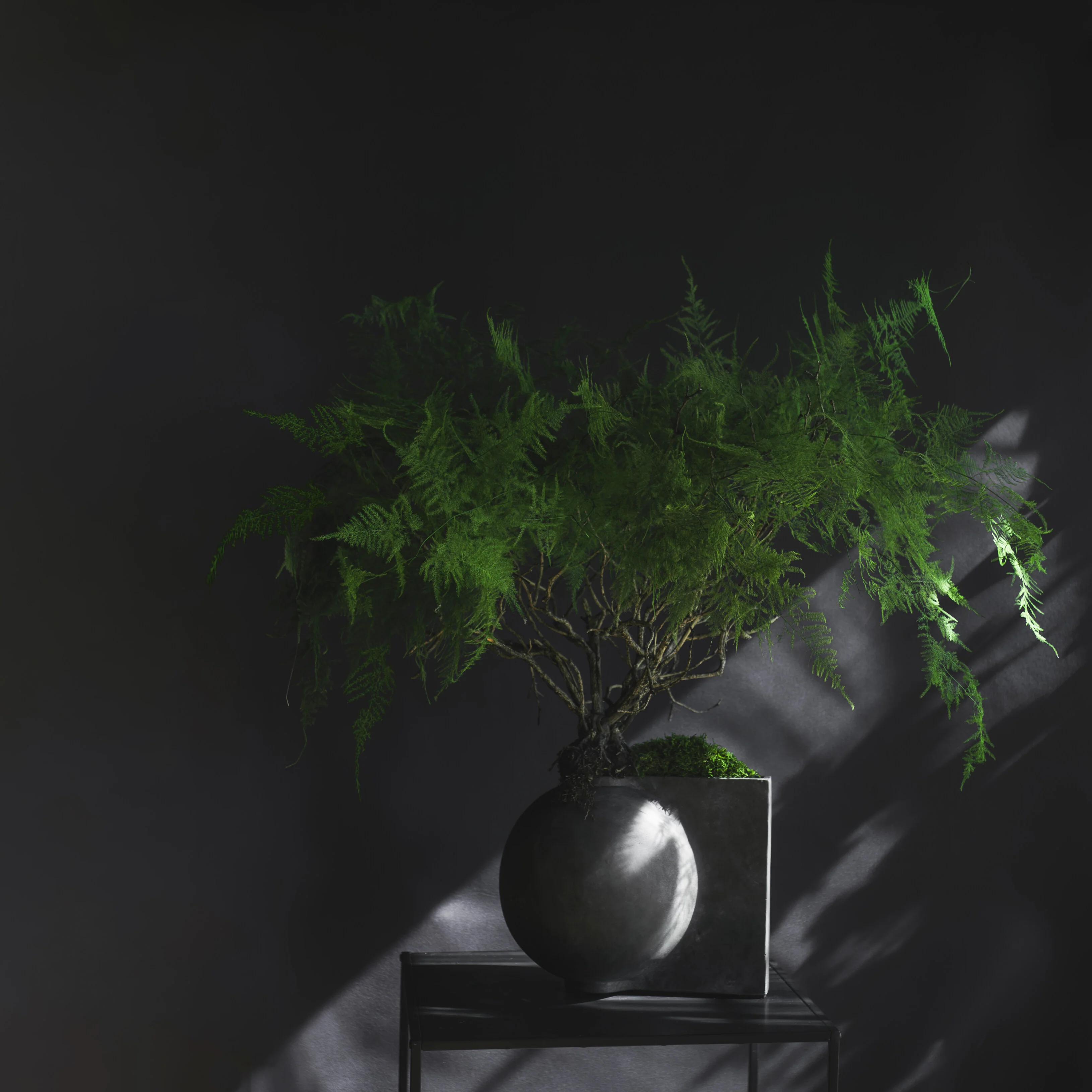 Offset Vase, Mini - Dark Grey - Image 6