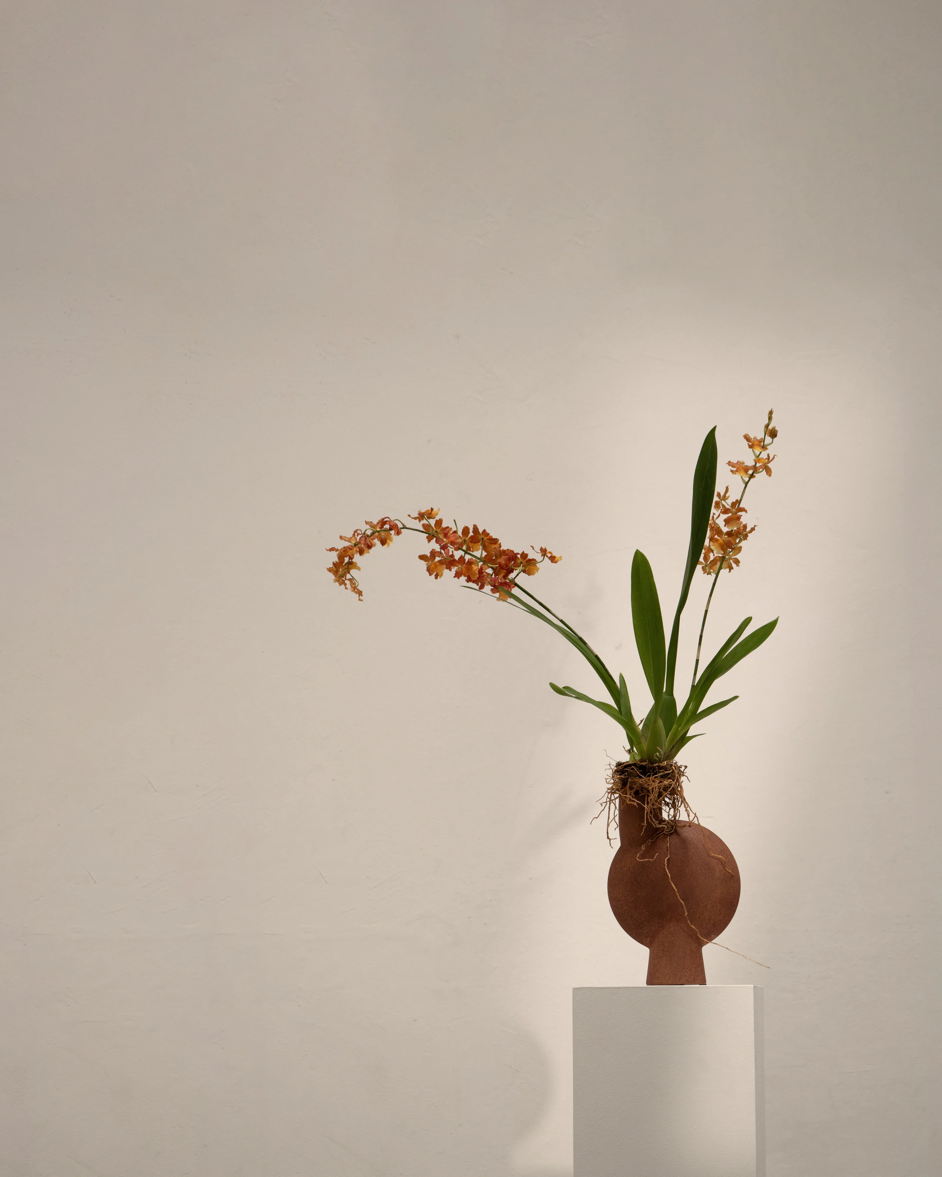 Sphere Vase Bubl, Medio -Terracotta - Image 2