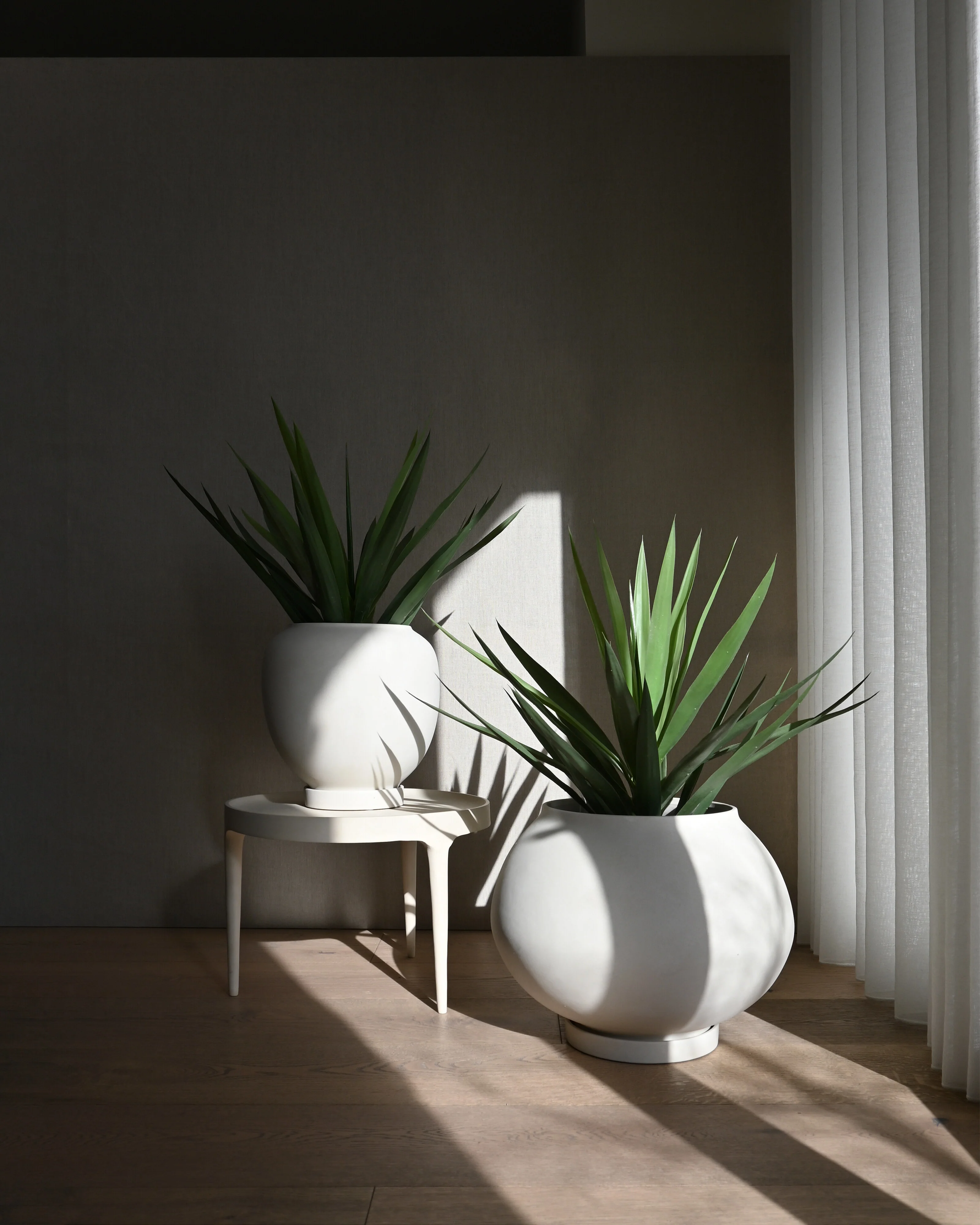 Sunao Plant Pot Fat, Big - Birch - Image 3