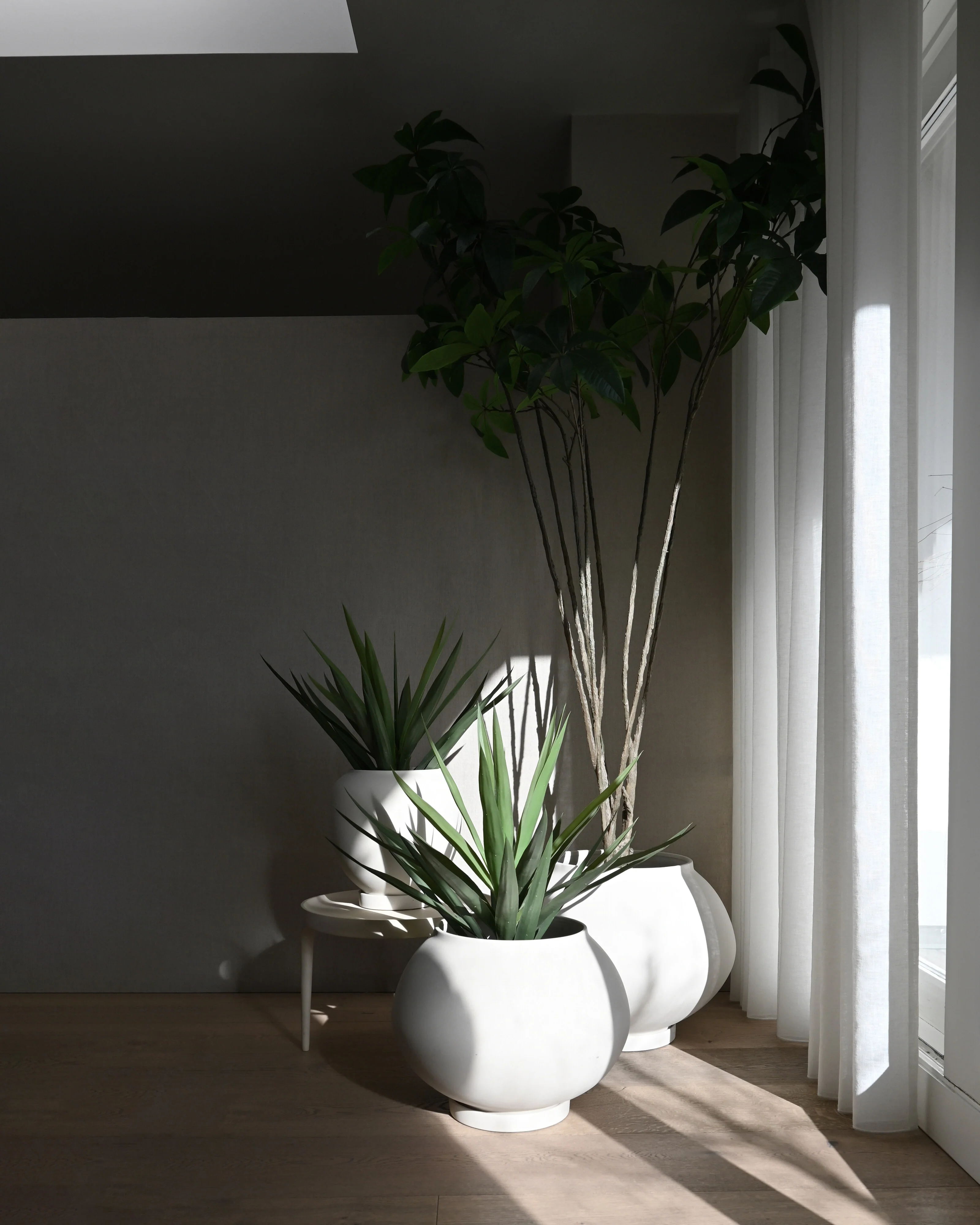 Sunao Plant Pot Fat, Big - Birch - Image 5