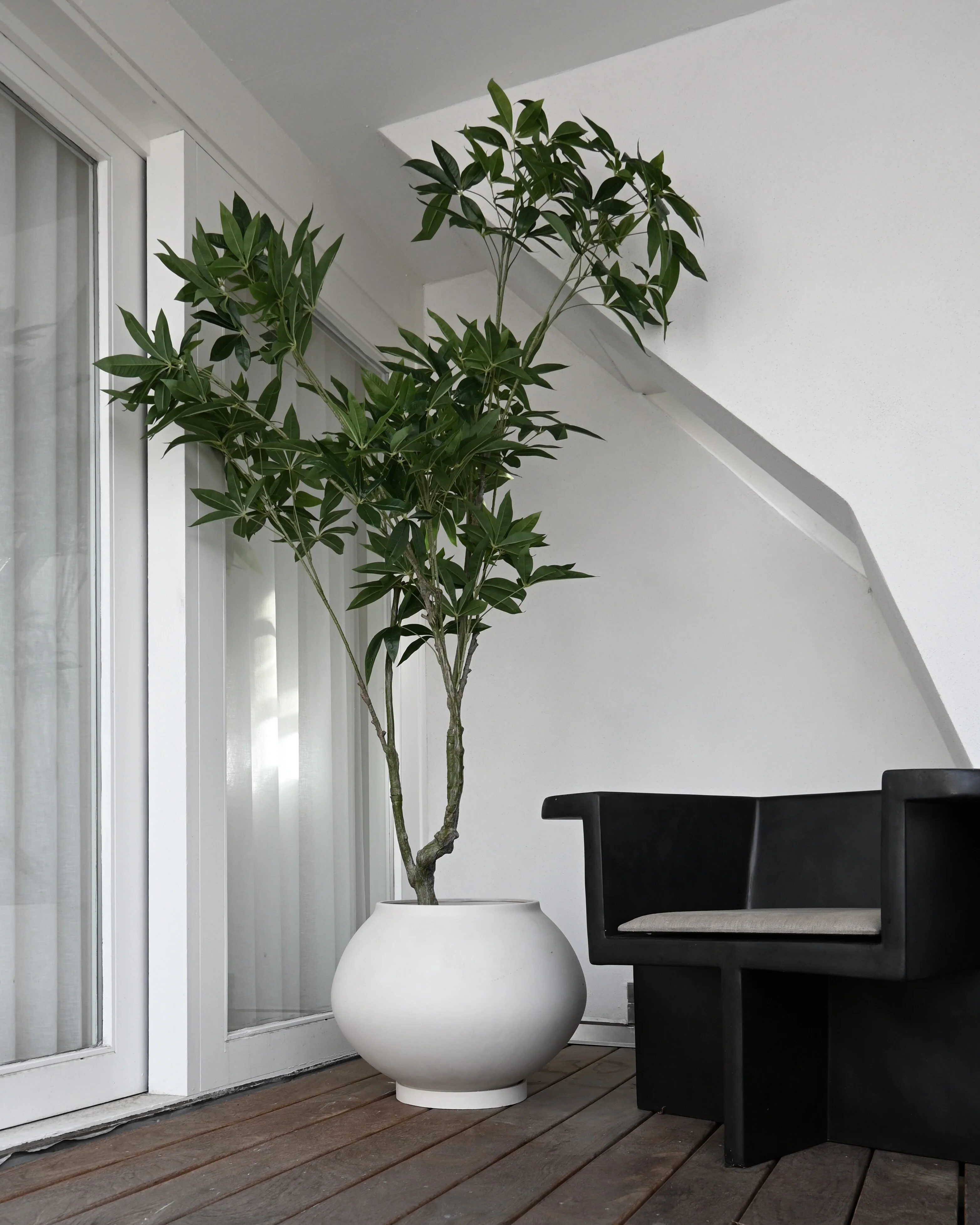 Sunao Plant Pot Fat, Hexa - Birch - Image 5