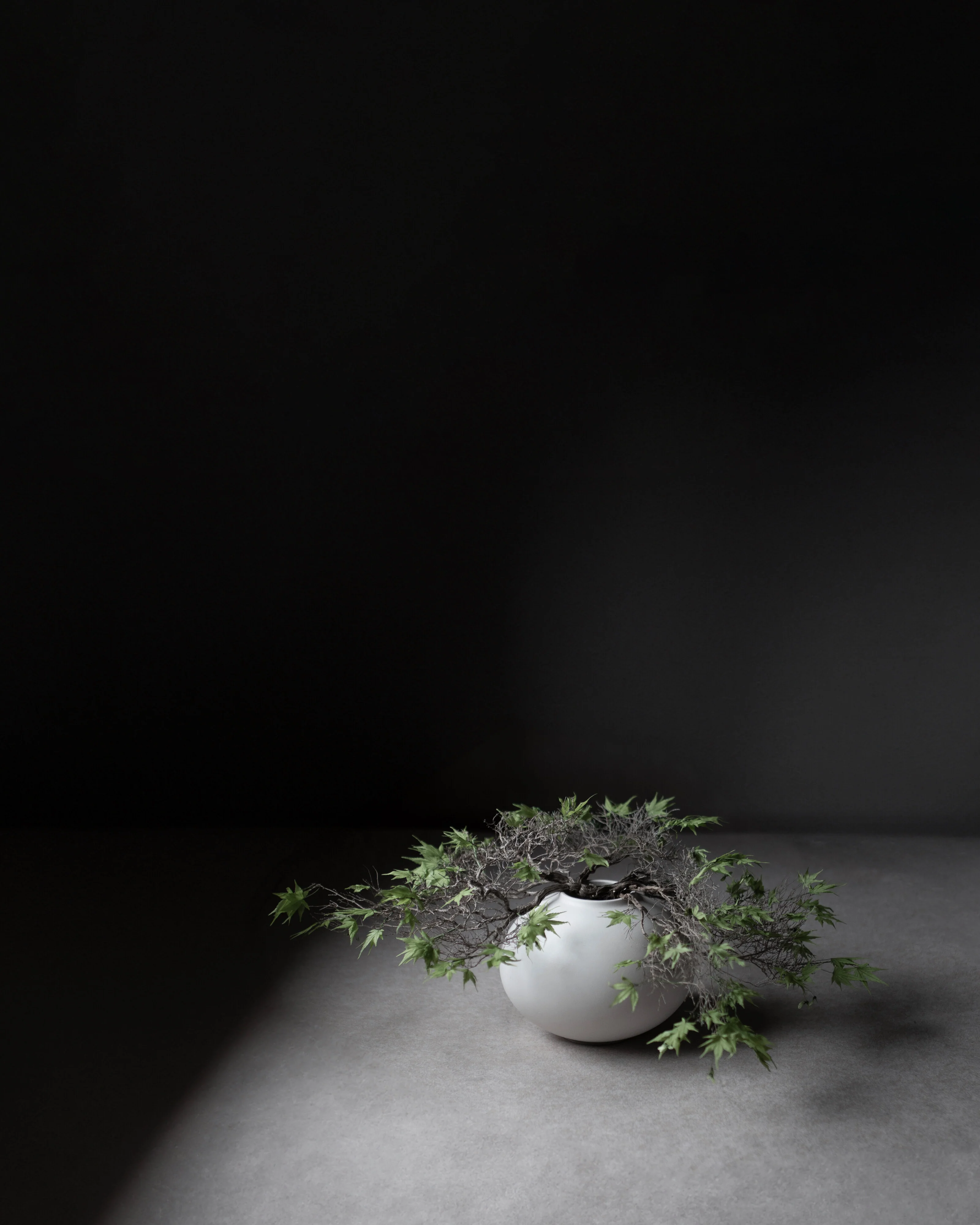Sunao Vase Fat, Mini - Birch - Image 2