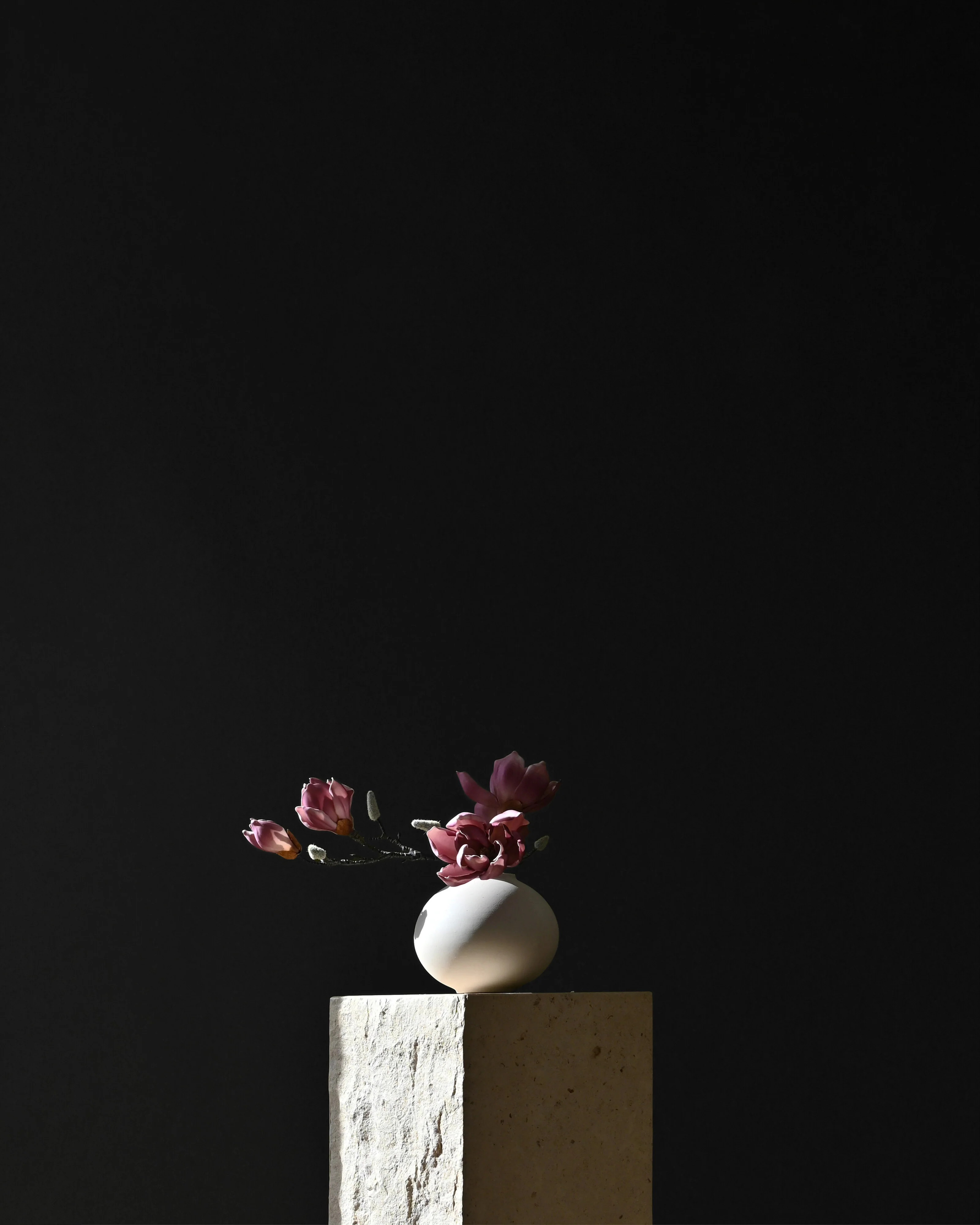 Sunao Vase Fat, Petit - Birch - Image 7