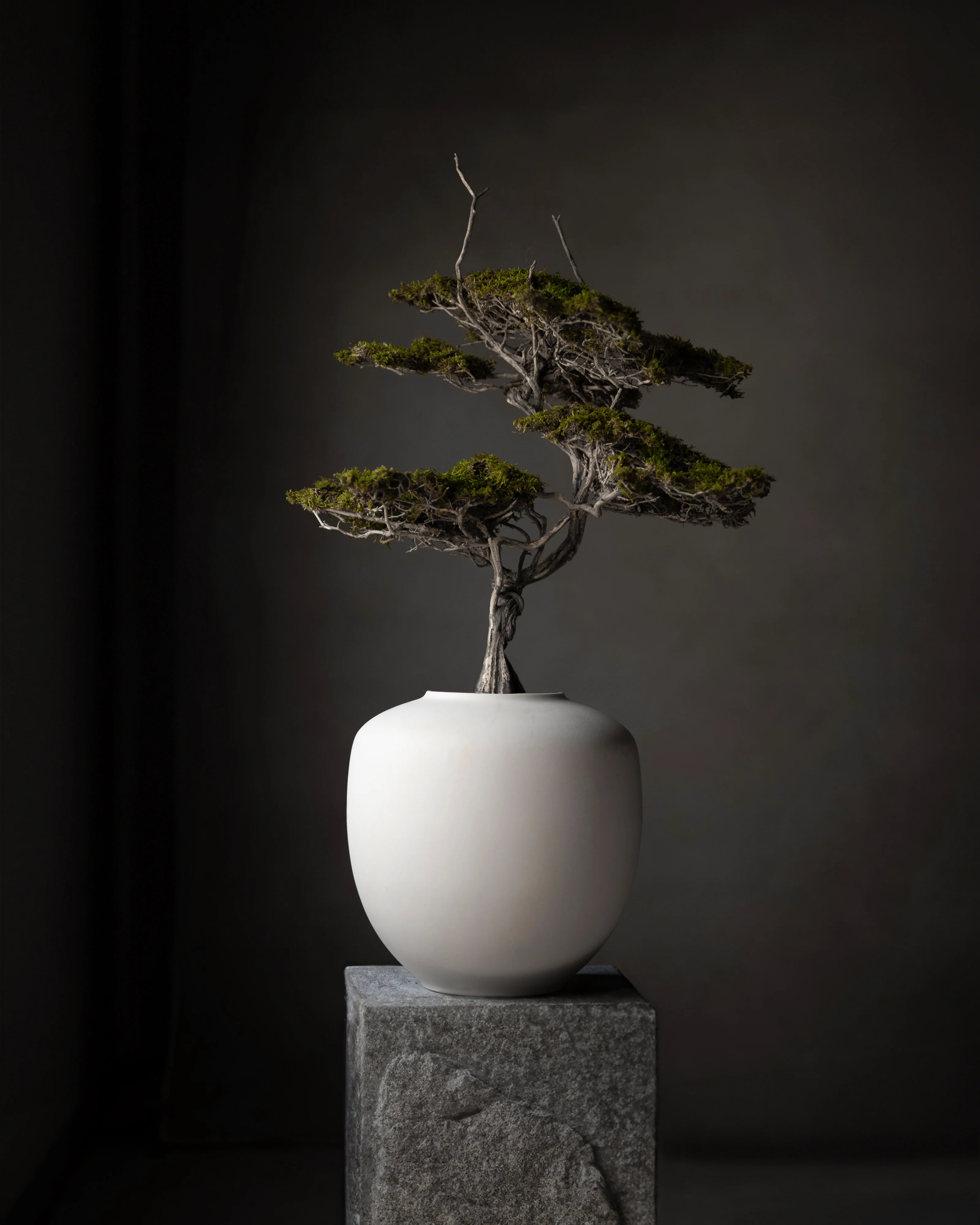 Sunao Vase, Medio - Birch - Image 2
