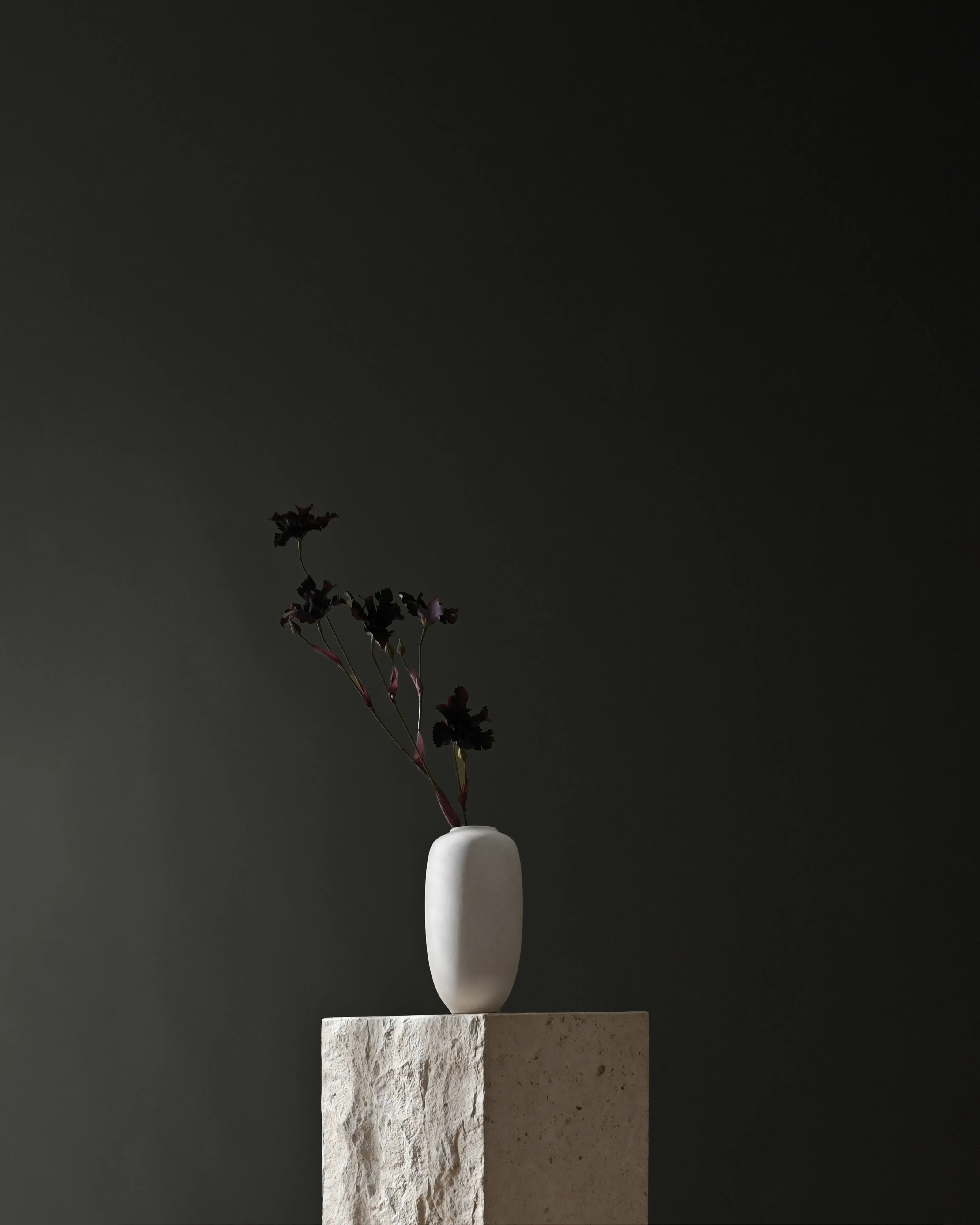 Sunao Vase Slim, Mini - Birch - Image 3