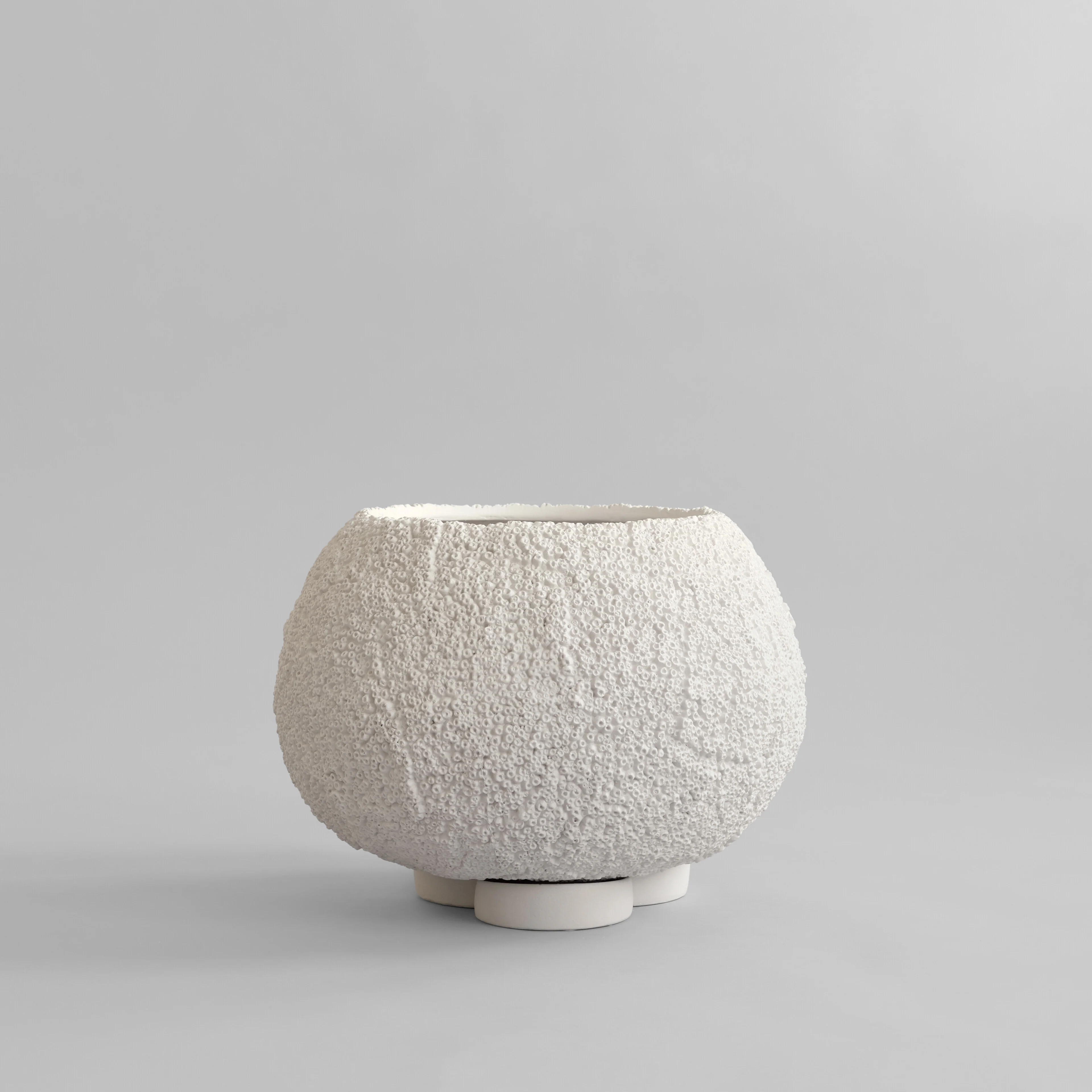 Urchin Plant Pot, Medio - Beehive