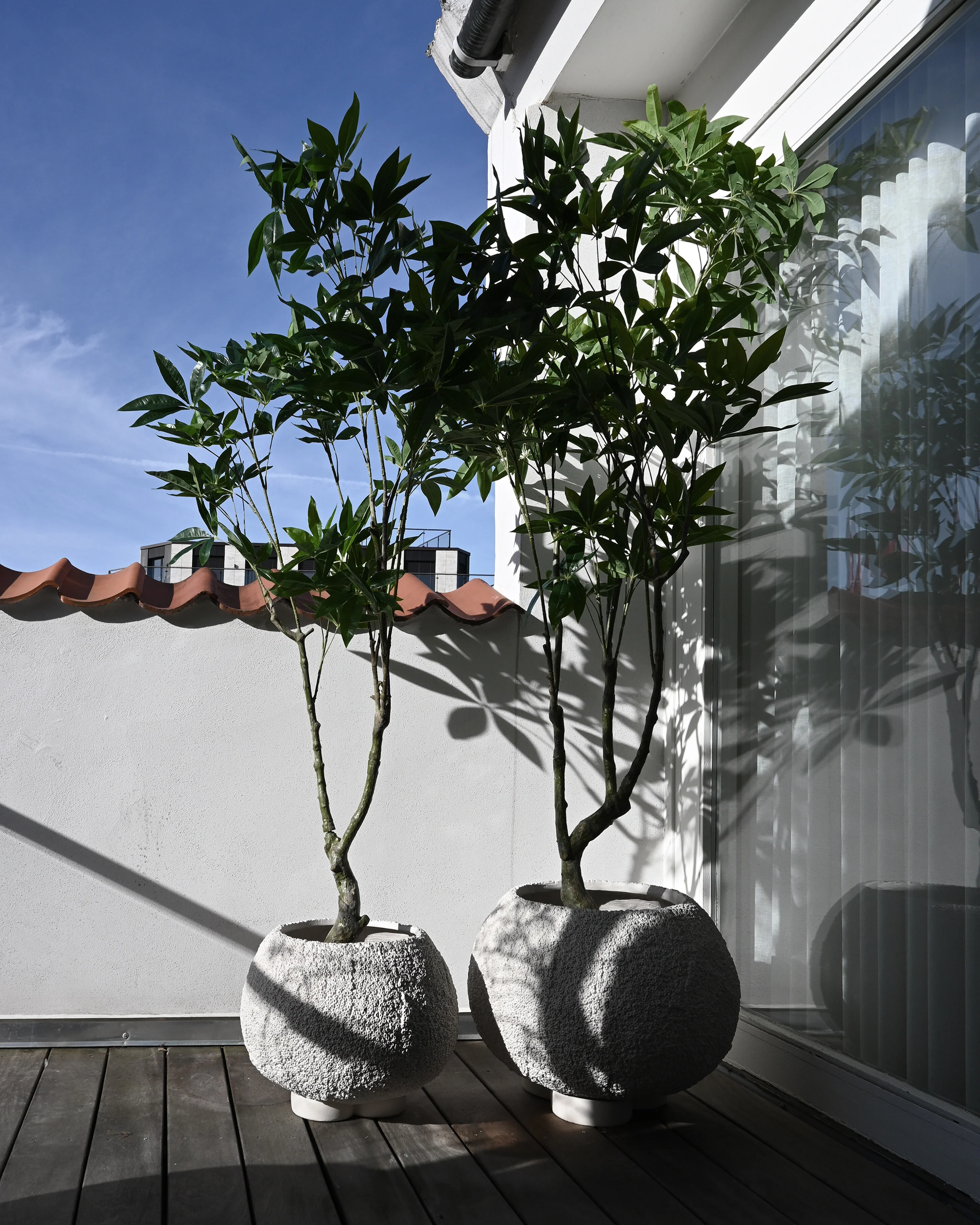 Urchin Plant Pot, Medio - Beehive - Image 2